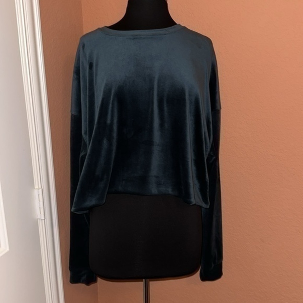 Wild Fable Velvet Long Sleeve Crop Top